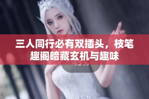 三人同行必有双插头，枝笔趣阁暗藏玄机与趣味