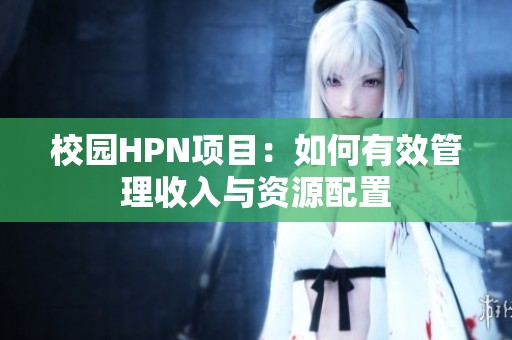 校园HPN项目：如何有效管理收入与资源配置