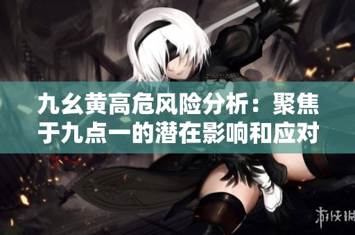九幺黄高危风险分析：聚焦于九点一的潜在影响和应对策略
