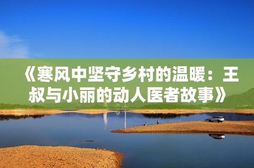 《寒风中坚守乡村的温暖：王叔与小丽的动人医者故事》