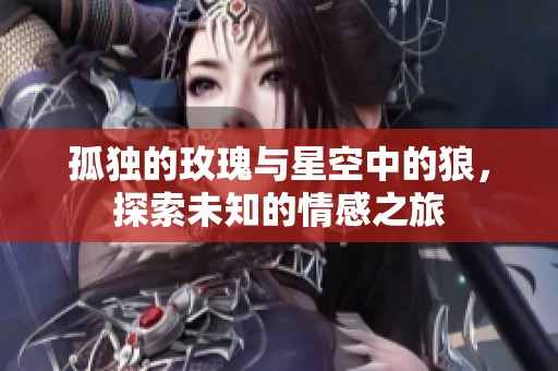 孤独的玫瑰与星空中的狼，探索未知的情感之旅