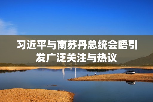 习近平与南苏丹总统会晤引发广泛关注与热议