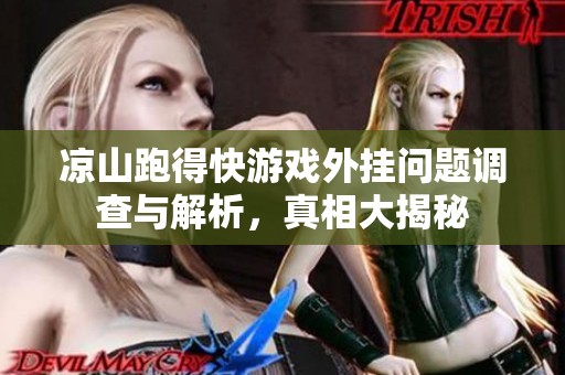 凉山跑得快游戏外挂问题调查与解析，真相大揭秘