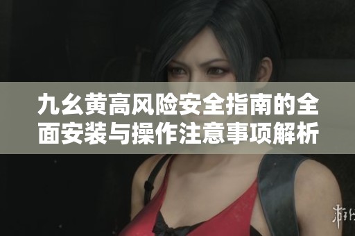 九幺黄高风险安全指南的全面安装与操作注意事项解析