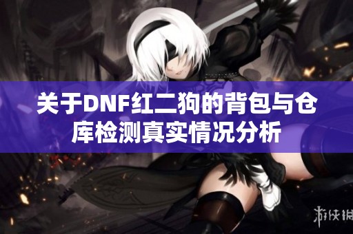 关于DNF红二狗的背包与仓库检测真实情况分析