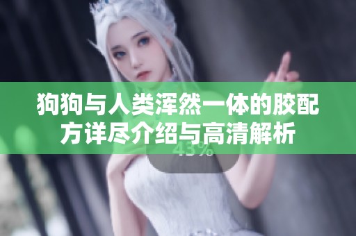 狗狗与人类浑然一体的胶配方详尽介绍与高清解析