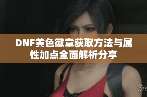 DNF黄色徽章获取方法与属性加点全面解析分享