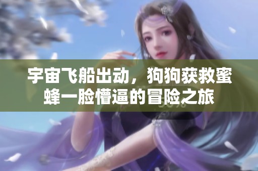 宇宙飞船出动，狗狗获救蜜蜂一脸懵逼的冒险之旅