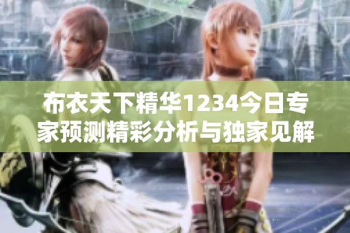 布衣天下精华1234今日专家预测精彩分析与独家见解