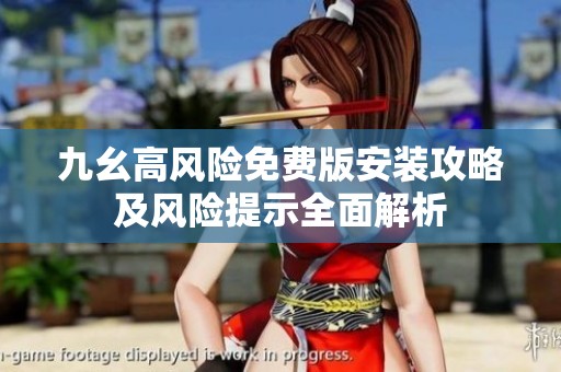 九幺高风险免费版安装攻略及风险提示全面解析