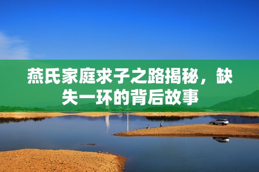 燕氏家庭求子之路揭秘，缺失一环的背后故事