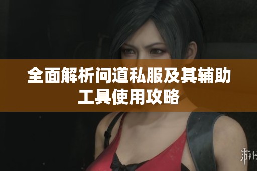 全面解析问道私服及其辅助工具使用攻略