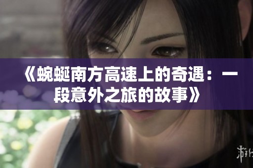《蜿蜒南方高速上的奇遇：一段意外之旅的故事》