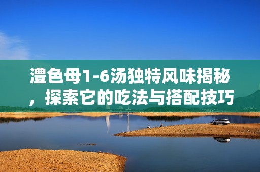 澧色母1-6汤独特风味揭秘，探索它的吃法与搭配技巧