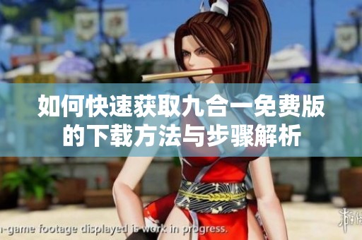 如何快速获取九合一免费版的下载方法与步骤解析