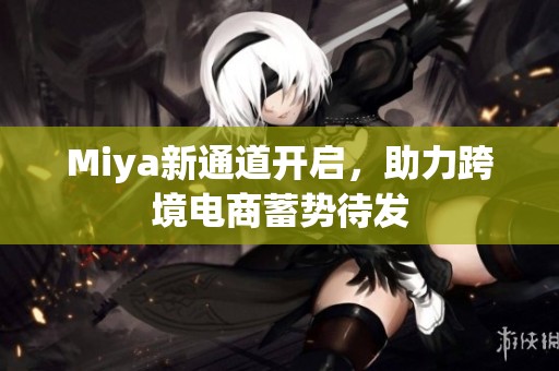 Miya新通道开启，助力跨境电商蓄势待发