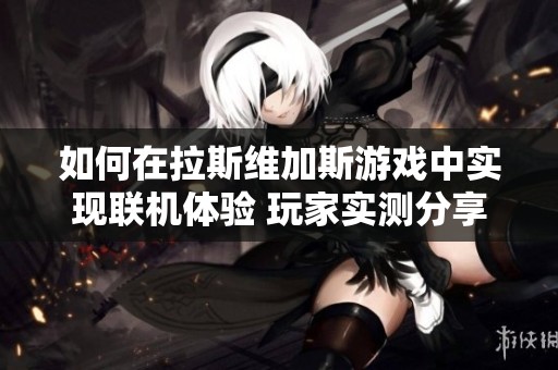 如何在拉斯维加斯游戏中实现联机体验 玩家实测分享