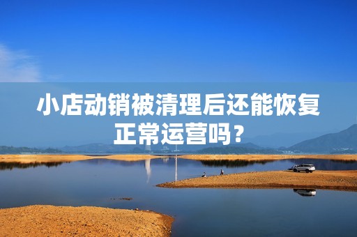 小店动销被清理后还能恢复正常运营吗？
