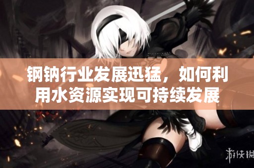 钢钠行业发展迅猛，如何利用水资源实现可持续发展