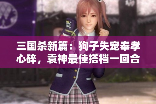 三国杀新篇：狗子失宠奉孝心碎，袁神最佳搭档一回合决胜负！