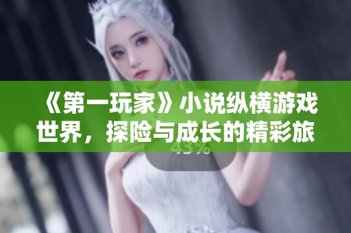 《第一玩家》小说纵横游戏世界，探险与成长的精彩旅程
