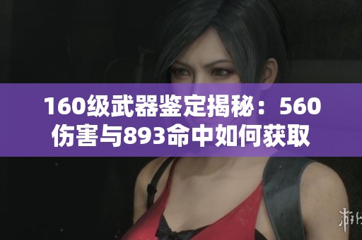 160级武器鉴定揭秘：560伤害与893命中如何获取