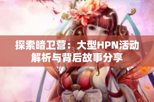 探索暗卫营：大型HPN活动解析与背后故事分享