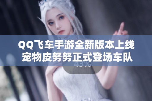 QQ飞车手游全新版本上线 宠物皮努努正式登场车队商店