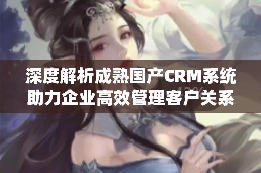 深度解析成熟国产CRM系统助力企业高效管理客户关系