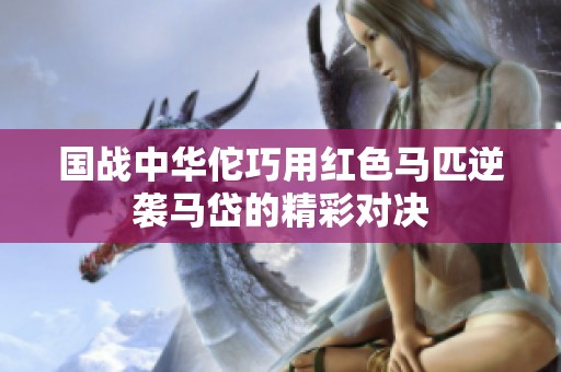国战中华佗巧用红色马匹逆袭马岱的精彩对决