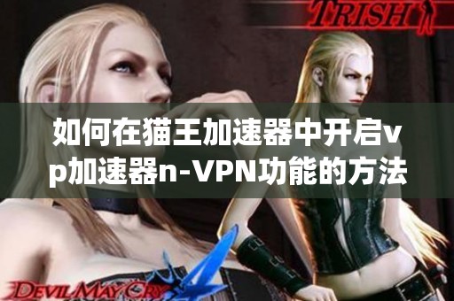 如何在猫王加速器中开启vp加速器n-VPN功能的方法解析