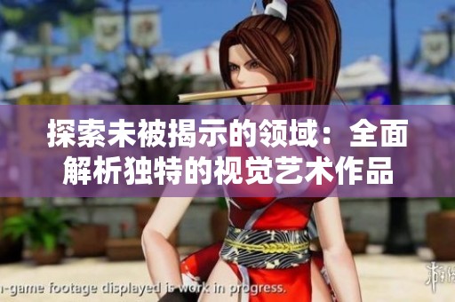 探索未被揭示的领域：全面解析独特的视觉艺术作品