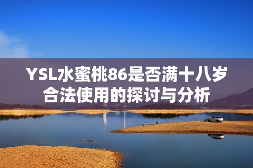 YSL水蜜桃86是否满十八岁合法使用的探讨与分析