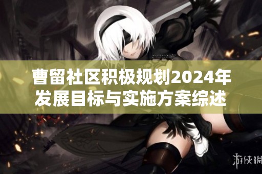 曹留社区积极规划2024年发展目标与实施方案综述