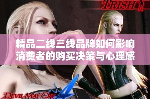 精品二线三线品牌如何影响消费者的购买决策与心理感受