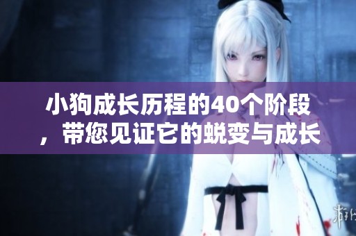 小狗成长历程的40个阶段，带您见证它的蜕变与成长