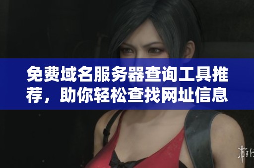 免费域名服务器查询工具推荐，助你轻松查找网址信息