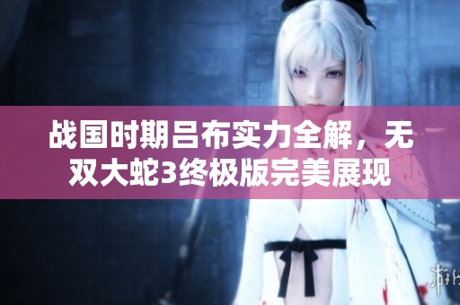 战国时期吕布实力全解，无双大蛇3终极版完美展现