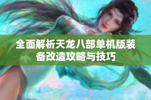 全面解析天龙八部单机版装备改造攻略与技巧
