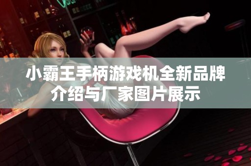 小霸王手柄游戏机全新品牌介绍与厂家图片展示