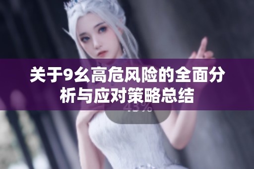 关于9幺高危风险的全面分析与应对策略总结