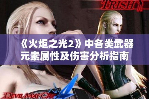 《火炬之光2》中各类武器元素属性及伤害分析指南