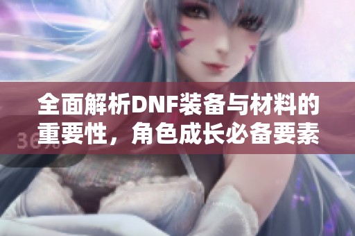 全面解析DNF装备与材料的重要性，角色成长必备要素揭秘