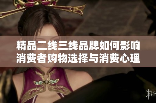 精品二线三线品牌如何影响消费者购物选择与消费心理