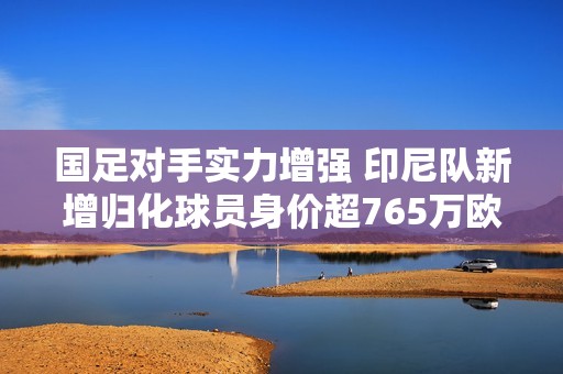 国足对手实力增强 印尼队新增归化球员身价超765万欧