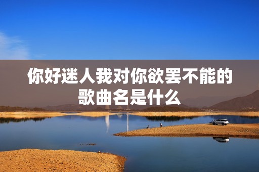 你好迷人我对你欲罢不能的歌曲名是什么