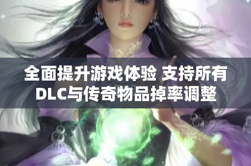 全面提升游戏体验 支持所有DLC与传奇物品掉率调整