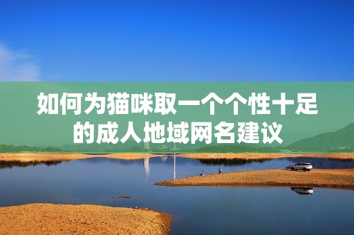 如何为猫咪取一个个性十足的成人地域网名建议