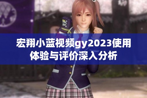 宏翔小蓝视频gy2023使用体验与评价深入分析