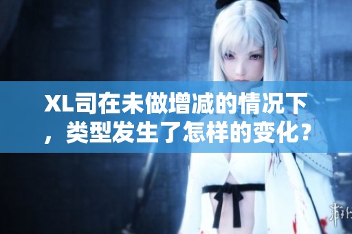 XL司在未做增减的情况下，类型发生了怎样的变化？